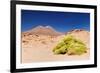 Bolivia - Eduardo Avaroa National Park-rchphoto-Framed Photographic Print