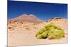 Bolivia - Eduardo Avaroa National Park-rchphoto-Mounted Photographic Print