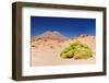 Bolivia - Eduardo Avaroa National Park-rchphoto-Framed Photographic Print