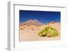 Bolivia - Eduardo Avaroa National Park-rchphoto-Framed Photographic Print