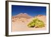 Bolivia - Eduardo Avaroa National Park-rchphoto-Framed Photographic Print