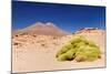 Bolivia - Eduardo Avaroa National Park-rchphoto-Mounted Photographic Print