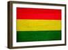 Bolivia Flag Design with Wood Patterning - Flags of the World Series-Philippe Hugonnard-Framed Premium Giclee Print