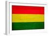 Bolivia Flag Design with Wood Patterning - Flags of the World Series-Philippe Hugonnard-Framed Premium Giclee Print