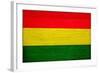Bolivia Flag Design with Wood Patterning - Flags of the World Series-Philippe Hugonnard-Framed Art Print