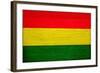 Bolivia Flag Design with Wood Patterning - Flags of the World Series-Philippe Hugonnard-Framed Art Print