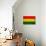 Bolivia Flag Design with Wood Patterning - Flags of the World Series-Philippe Hugonnard-Art Print displayed on a wall