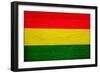 Bolivia Flag Design with Wood Patterning - Flags of the World Series-Philippe Hugonnard-Framed Art Print