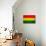 Bolivia Flag Design with Wood Patterning - Flags of the World Series-Philippe Hugonnard-Mounted Art Print displayed on a wall