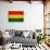 Bolivia Flag Design with Wood Patterning - Flags of the World Series-Philippe Hugonnard-Stretched Canvas displayed on a wall