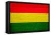 Bolivia Flag Design with Wood Patterning - Flags of the World Series-Philippe Hugonnard-Framed Stretched Canvas