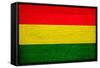 Bolivia Flag Design with Wood Patterning - Flags of the World Series-Philippe Hugonnard-Framed Stretched Canvas