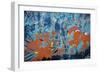 Bolivia Grafitti-Art Wolfe-Framed Photographic Print