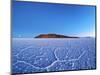 Bolivia, Potosi Department, Daniel Campos Province, Salar de Uyuni, View towards the Incahuasi Isla-Karol Kozlowski-Mounted Photographic Print