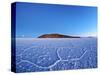 Bolivia, Potosi Department, Daniel Campos Province, Salar de Uyuni, View towards the Incahuasi Isla-Karol Kozlowski-Stretched Canvas