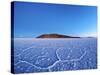 Bolivia, Potosi Department, Daniel Campos Province, Salar de Uyuni, View towards the Incahuasi Isla-Karol Kozlowski-Stretched Canvas