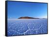 Bolivia, Potosi Department, Daniel Campos Province, Salar de Uyuni, View towards the Incahuasi Isla-Karol Kozlowski-Framed Stretched Canvas