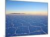 Bolivia, Potosi Department, Daniel Campos Province, View of the Salar de Uyuni, the largest salt fl-Karol Kozlowski-Mounted Photographic Print