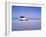 Bolivia, Potosi Department, Daniel Campos Province, White Toyota Landcruiser on the Salar de Uyuni,-Karol Kozlowski-Framed Photographic Print