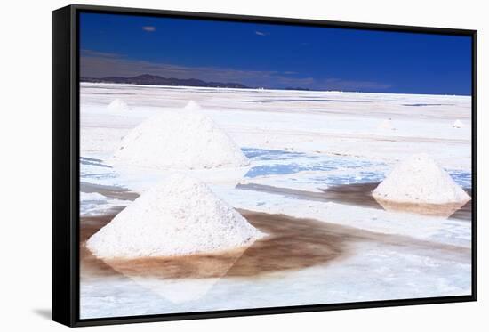 Bolivia, the Most Beautifull Andes in South America-rchphoto-Framed Stretched Canvas