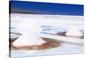 Bolivia, the Most Beautifull Andes in South America-rchphoto-Stretched Canvas