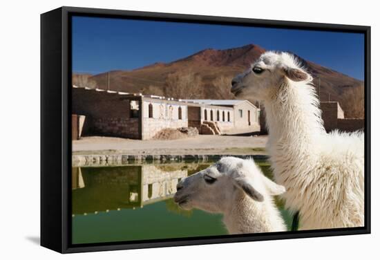 Bolivia, the Most Beautifull Andes in South America-rchphoto-Framed Stretched Canvas