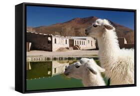 Bolivia, the Most Beautifull Andes in South America-rchphoto-Framed Stretched Canvas