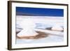 Bolivia, the Most Beautifull Andes in South America-rchphoto-Framed Photographic Print