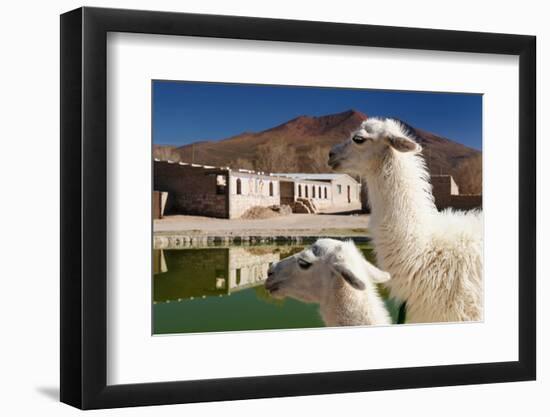 Bolivia, the Most Beautifull Andes in South America-rchphoto-Framed Photographic Print