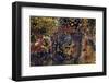 Bolivia-Art Wolfe-Framed Photographic Print