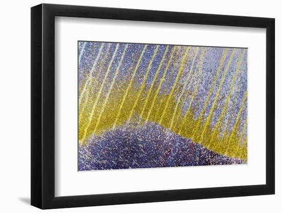 Bolivia-Art Wolfe-Framed Photographic Print