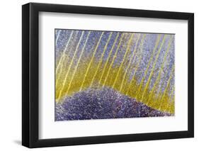 Bolivia-Art Wolfe-Framed Photographic Print