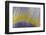 Bolivia-Art Wolfe-Framed Photographic Print