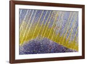 Bolivia-Art Wolfe-Framed Photographic Print