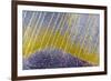 Bolivia-Art Wolfe-Framed Photographic Print