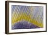 Bolivia-Art Wolfe-Framed Photographic Print