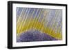 Bolivia-Art Wolfe-Framed Photographic Print