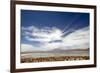 Bolivian Altiplano, Bolivia. Lake and Mountains in Coipasa, Bolivia.-Anthony Asael-Framed Photographic Print