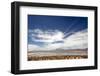 Bolivian Altiplano, Bolivia. Lake and Mountains in Coipasa, Bolivia.-Anthony Asael-Framed Photographic Print