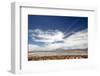 Bolivian Altiplano, Bolivia. Lake and Mountains in Coipasa, Bolivia.-Anthony Asael-Framed Photographic Print