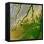 Bolivian Amazon-Stocktrek Images-Framed Stretched Canvas