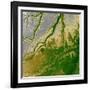 Bolivian Amazon-Stocktrek Images-Framed Photographic Print