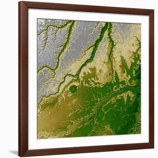 Bolivian Amazon-Stocktrek Images-Framed Photographic Print