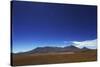 Bolivian desert, Bolivia. Arid landscape going toward lake and mountains.-Anthony Asael-Stretched Canvas