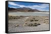 Bolivian desert, Bolivia. Lakes and mountains.-Anthony Asael-Framed Stretched Canvas