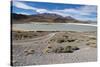 Bolivian desert, Bolivia. Lakes and mountains.-Anthony Asael-Stretched Canvas