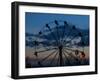 Bolivian Indigenous People Have Fun on a Ferris Wheel at Dawn at a Rural Fair-null-Framed Photographic Print