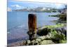 Bollard Squats on the Marsamxett Harbor of Malta Shore with Valletta-Richard Wright-Mounted Photographic Print