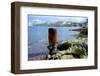 Bollard Squats on the Marsamxett Harbor of Malta Shore with Valletta-Richard Wright-Framed Photographic Print