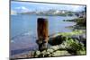 Bollard Squats on the Marsamxett Harbor of Malta Shore with Valletta-Richard Wright-Mounted Photographic Print